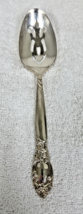 Vintage Oneida Ballard Country Lane Silver Plate Pierced Serving Tablespoon - $9.41