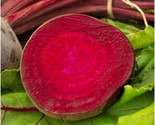 100 Seeds  Bulls Blood Beet Seeds Heirloom Vegetable Garden Patio Contai... - $8.99