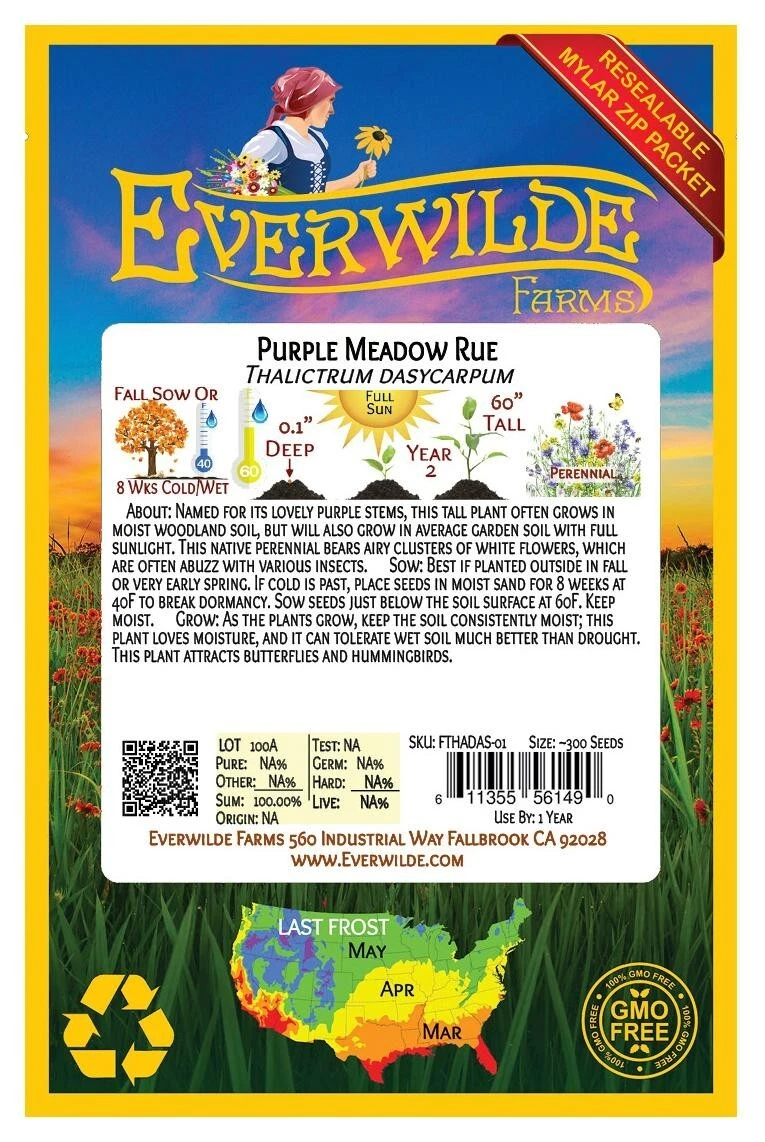 300 Purple Meadow Rue Wildflower Seeds  - $9.76