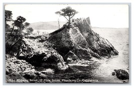 Lone Cypress Midway Point 17 Mile Drive Monterey CA B&amp;W DB Postcard W4 - £3.20 GBP