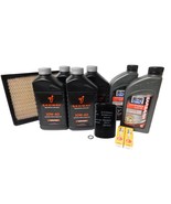 2022-2025 Segway Fugleman Villain UT10 Full Service Kit S05 - $3,222.17 MXN
