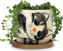 Window Garden Cat Planter - Large Kitty Pot For Indoor House Plants,, Sebby - $38.99