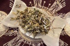 .5 oz Common Sage, Garden Sage, Ward Off Evil, Cleansing, Wisdom, Good Luck - £1.36 GBP