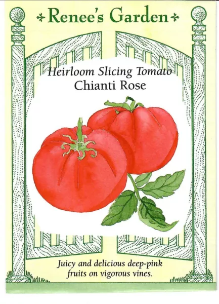 Tomato Chianti Rose Heirloom Vegetable Seeds Fresh Garden - £8.41 GBP