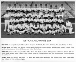 1967 CHICAGO WHITE SOX 8X10 TEAM PHOTO BASEBALL PICTURE MLB - $4.94