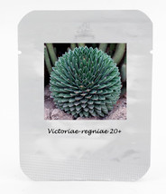 1 Professional , 20 seeds / , Agave Victoriae-Reginae Seed Royal Agave S... - $4.80