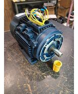 C80T11FZ6A 3/4HP LEESON 1130RPM 80C TEFC IP55 3PH B3/B14 IEC MOTOR 19204... - €169,63 EUR