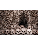 Infernal Plagues - $222.00