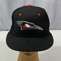 MiLB New Era 59Fifty Delmarva Shorebirds Vintage Baseball Hat Cap Size 6 7/8 - £22.96 GBP