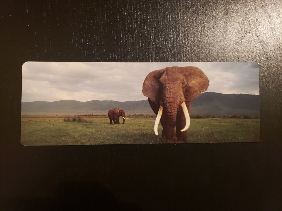 World Wildlife Fund WWF African Elephant Siberian Tiger Bookmark Nature Einstein - $9.89
