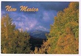 New Mexico Postcard Wheeler Peak Seen From Red River Pass - £1.69 GBP