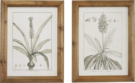 Deco 79 Wood Leaf Framed Wall Art With Brown Frame, Set Of 2 17&quot;W,, Light Brown - £52.92 GBP