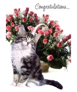 Congratulations...- Congratulations Greeting Card - 00796 - $2.79