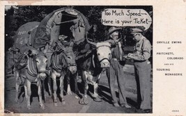 Orville Ewing Touring Menagerie Speed Ticket Pritchett Colorado CO Postcard A22 - £2.38 GBP