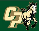 Cal Poly Mustangs Hand Flag 3x5ft - $15.99