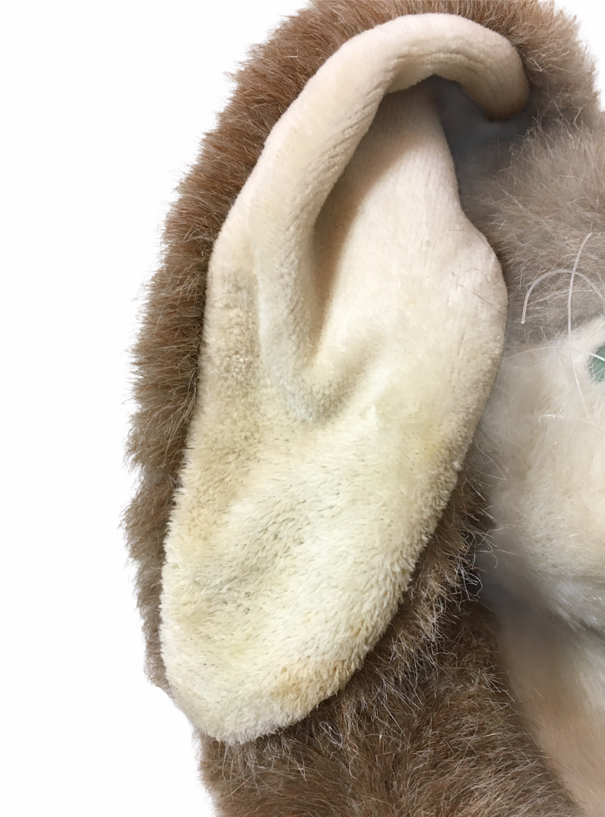 Item image 9