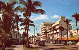 Miami Beach Florida Palm Studded Lincoln Road Fashionable Shops Postcard 1950s - £9.29 GBP