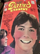 David Cassidy #5 1972 Charlton Comic Partridge Family - £8.98 GBP
