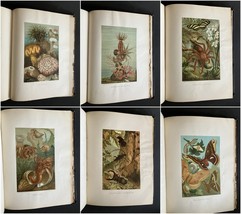 Item image 15