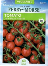 GIB Tomato Jelly Bean Hybrid Vegetable Seeds Ferry Morse  - $9.00