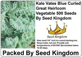 Kale Vates Blue Cur Great Heirloom Vegetable 500 Seeds Fresh Garden USA SELLER - £10.21 GBP