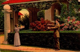 Valentine POSTCARD-&quot;I Am Looking For A Sweetheart And I Think You Will Do&quot; Bkc - £2.36 GBP