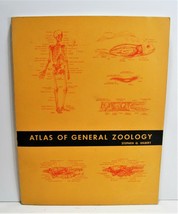 1965 Vintage Atlas Of General Zoology Book Stephen G. Gilbert  - £23.34 GBP