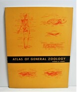 1965 Vintage Atlas Of General Zoology Book Stephen G. Gilbert  - $17.64 CAD