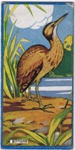 Cowan Co Toronto Card Bittern Canadian Bird Series - $9.89