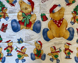 NEW  Spring Industries &quot;Rambling Ted&quot; Christmas Bear Fabric Panel w Orna... - $13.09