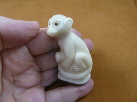 TNE-APE-MO-762B) little white Monkey TAGUA NUT nuts figurine carving zoo... - £23.50 GBP