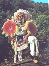 1974 Cherokee Chief Ramsey Walking Stick on the Cherokee Reservation N. Carolina - £4.83 GBP