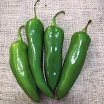 Pepper, Anaheim, Heirloom, 500 Seeds, Mildly Spicy Great Fresh OR Dried - £6.70 GBP