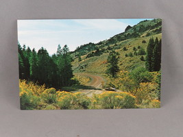 Vintage Postcard - Cedar Pass Modoc County California - Eastman&#39;s Studio - £11.99 GBP