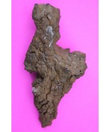 Giant Lizard Poop 5 Million Years Old Coprolite Genuine Fossil Dino Girl... - $41.13 CAD
