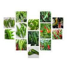 Free Shipping One Pack Chili Pepper Seeds Collection NON-GMO 12 Varieties - £19.61 GBP
