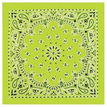 Bandana Paisley Lt Grn - $11.30