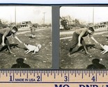 Man Playing with Small Dog &amp; Small Dog  1930&#39;s Two Original Stereoviews - £19.44 GBP