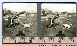 Man Playing with Small Dog &amp; Small Dog  1930&#39;s Two Original Stereoviews - £19.30 GBP