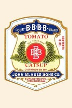 Bbbb Tomato Catsup - £15.96 GBP