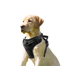 GOOPAWS Padded Reflective Dog Harness, Easy Control Lightweight Dog Harness - £21.99 GBP