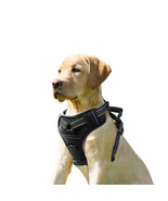 GOOPAWS Padded Reflective Dog Harness, Easy Control Lightweight Dog Harness - $27.95