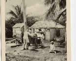 Village Work Scene Photo Postcard Montserrat British West Indies 1930&#39;s - $17.82