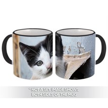 Cat : Gift Mug Kitten Cute Funny Friendship Pet - £12.57 GBP