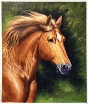 Wide Horse Handmade Oil Painting Unmounted Canvas 20x24 inches - £239.25 GBP