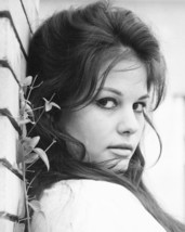 Claudia Cardinale 1960&#39;s Head Shot 8x10 Photo - $7.99