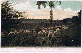 Postcard Green Pastures Homeward Bound Edinboro Cambridge Springs Pennsylvania - £3.88 GBP