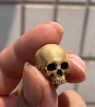 3D printing mini skull model, hand painting, full body model of skull skeleton - £16.03 GBP