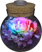 Real Roses with Colorful Mood Light Wishing Bottle,Eternal Rose - £44.14 GBP
