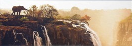 Heye Alexander Von Humboldt Elephant 1000 pc Panorama Jigsaw Puzzle Waterfall  - $24.74